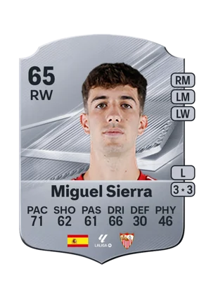 Miguel Sierra 65 RW