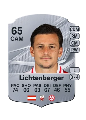 Lichtenberger 65 CAM