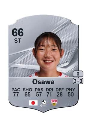 Osawa 66 ST