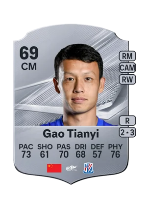Gao Tianyi 69 CM