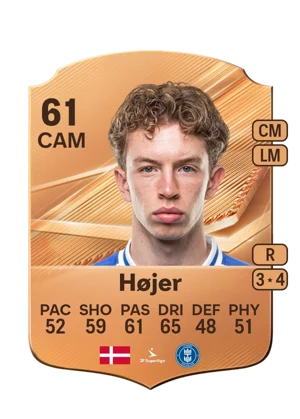 Højer 61 CAM