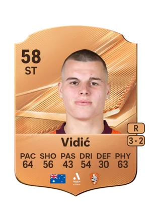 Vidić 58 ST