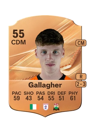 Gallagher 55 CDM