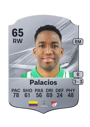 Palacios 65 RW