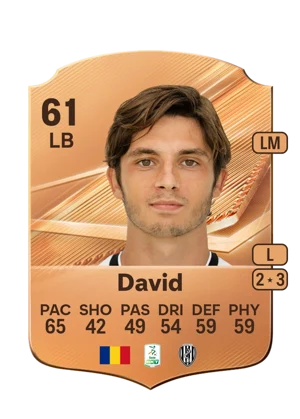 David 61 LB
