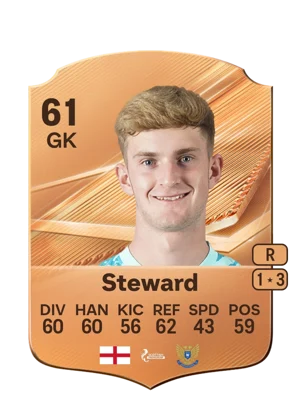 Steward 61 GK