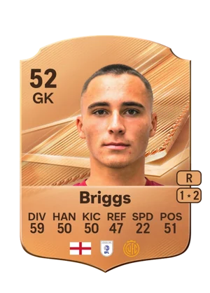 Briggs 52 GK
