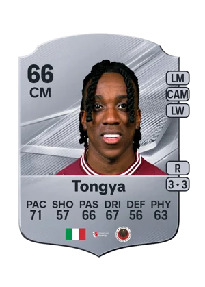 Tongya 66 CM