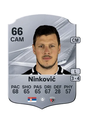 Ninković 66 CAM