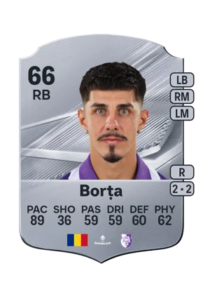 Borța 66 RB