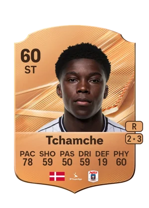 Tchamche 60 ST