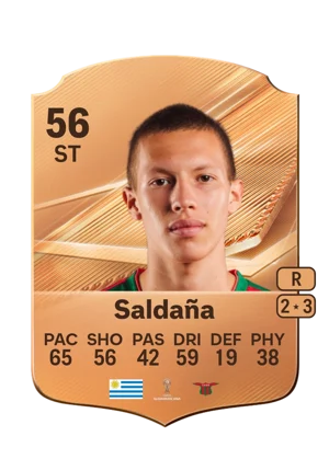 Saldaña 56 ST
