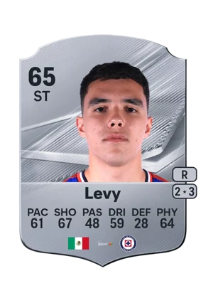 Levy 65 ST
