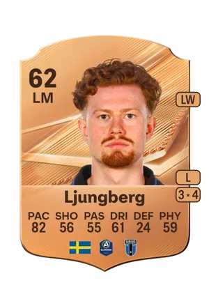 Ljungberg 62 LM