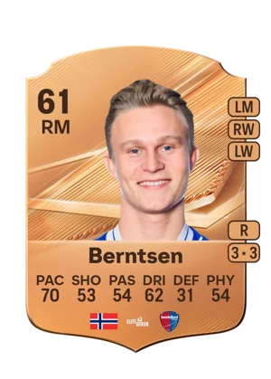 Berntsen 61 RM