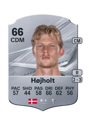 Højholt 66 CDM