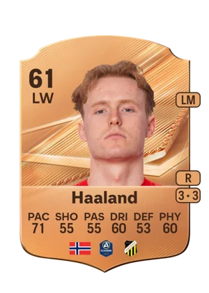 Haaland 61 LW
