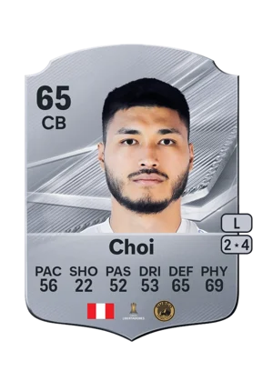 Choi 65 CB