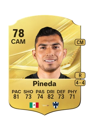 Pineda 78 CAM