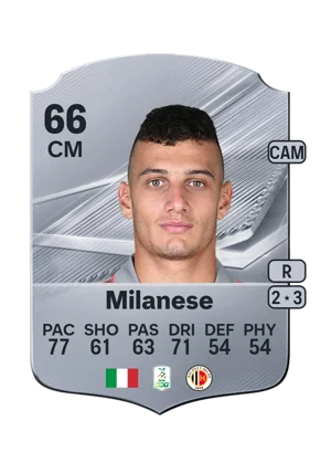 Milanese 66 CM