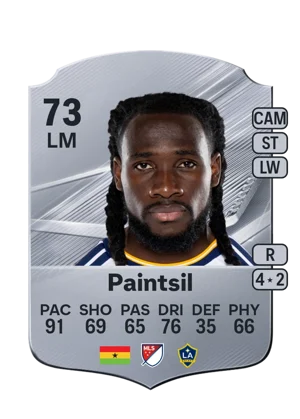 Paintsil 73 LM