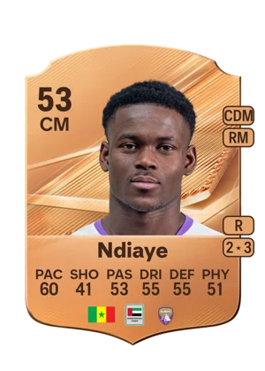 Ndiaye 53 CM
