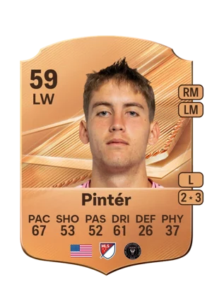 Pintér 59 LW
