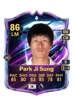 Park Ji Sung 86 LM