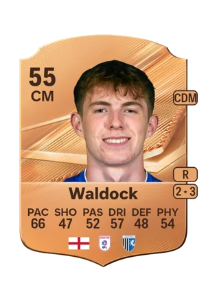 Waldock 55 CM