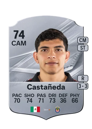Castañeda 74 CAM