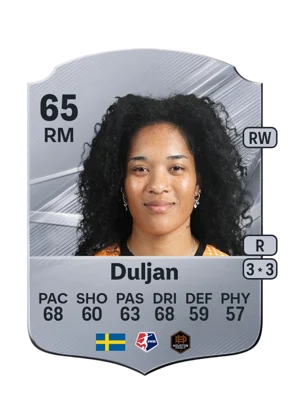 Duljan 65 RM
