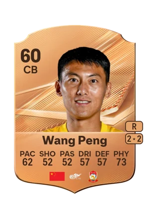 Wang Peng 60 CB
