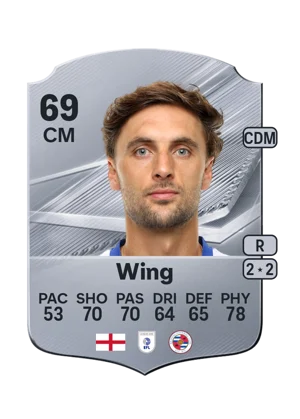Wing 69 CM