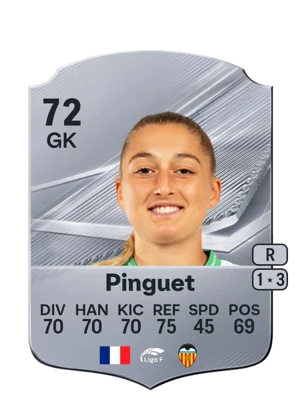 Pinguet 72 GK