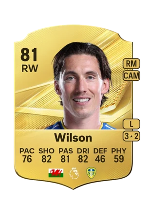 Wilson 81 RW