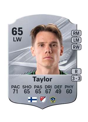 Taylor 65 LW