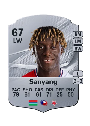 Sanyang 67 LW