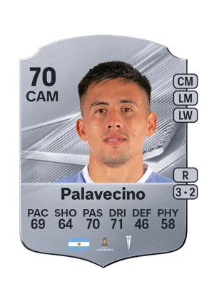 Palavecino 70 CAM