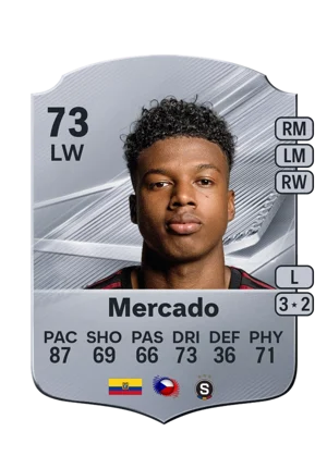 Mercado 73 LW