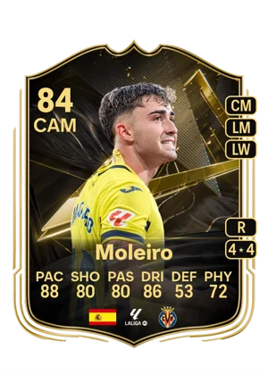 Moleiro 84 CAM