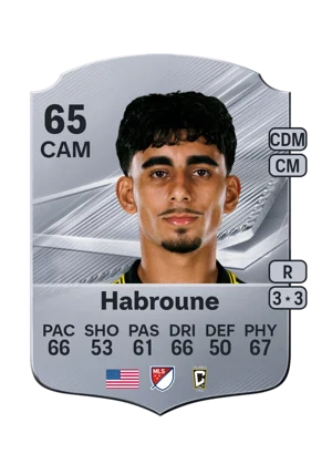 Habroune 65 CAM