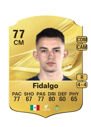 Fidalgo 77 CM