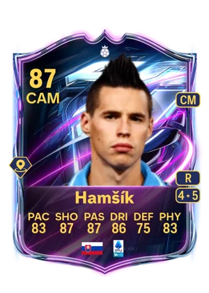 Hamšík 87 CAM