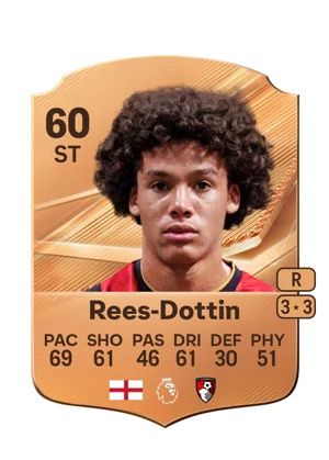Rees-Dottin 60 ST