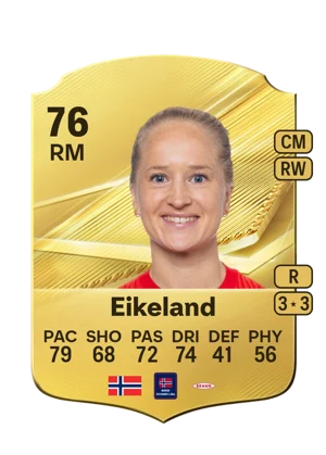 Eikeland 76 RM