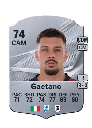 Gaetano 74 CAM