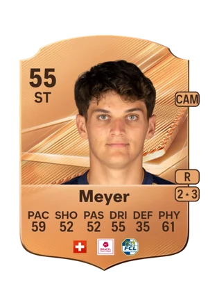 Meyer 55 ST
