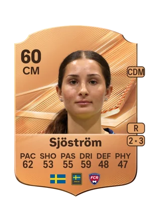Sjöström 60 CM