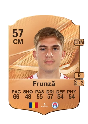 Frunză 57 CM