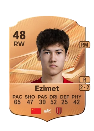 Ezimet 48 RW